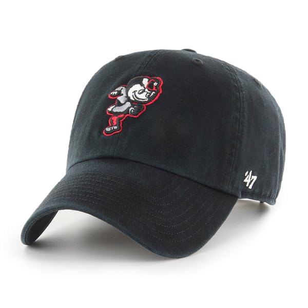 Ohio State Buckeyes Vintage '47 Clean Up – Campus Hats